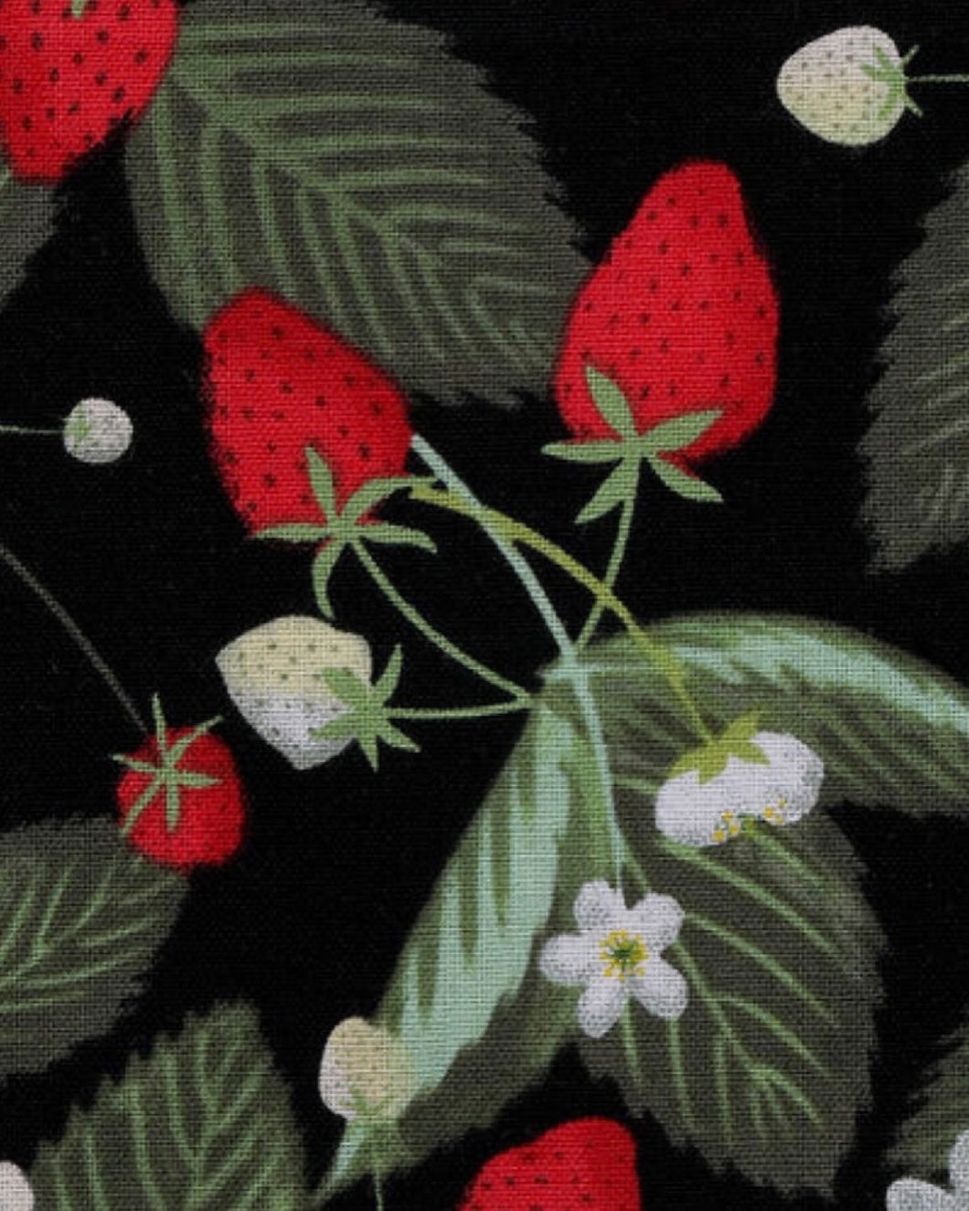 Strawberry 🍓